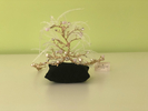 Image2106945.jpg_product_product_product_product_product_product_product_product_product_product_product_product_product_produ